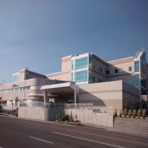cover image of Primary Children's Hospital